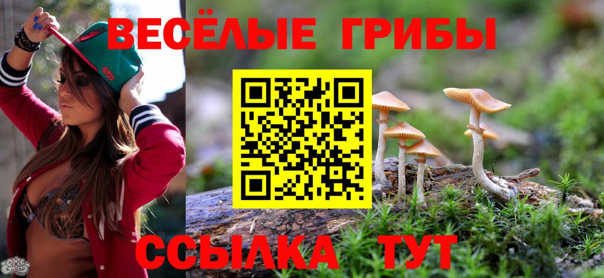 Псилоцибиновые грибы MAGIC MUSHROOMS Сибай